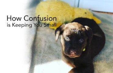 How Confusion is Keeping You Small