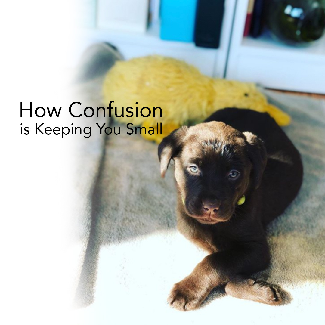 How Confusion is Keeping You Small